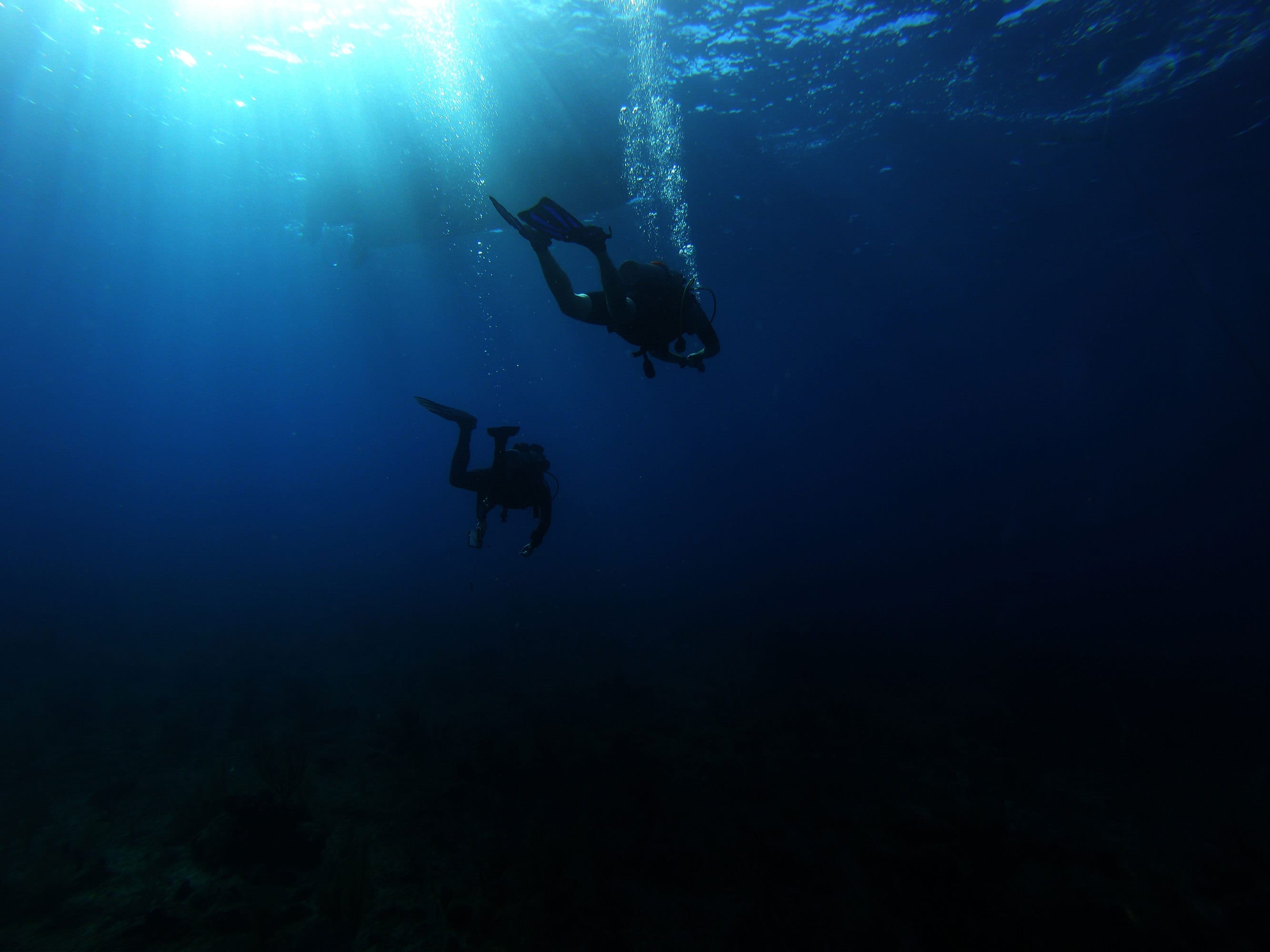 Les outils pédagogiques en immersion - Plongée sous-marine